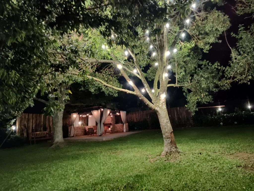 Pousada Do Salto Ventoso / Serra Gaucha Casa 1 Farroupilha Εξωτερικό φωτογραφία